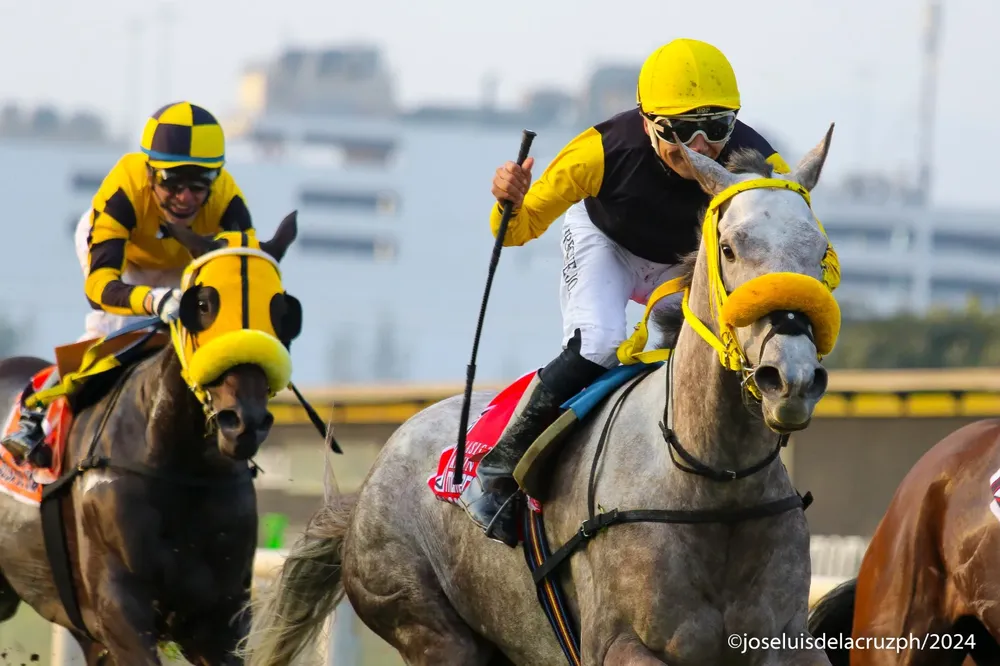 WhatsApp Image 2024-09-09 at 10.54.21