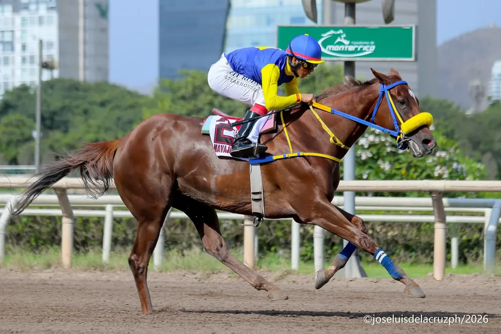 Navaja Merkel - Foto: José Luis De La Cruz