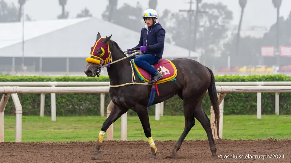 WhatsApp Image 2024-07-08 at 10.59.24