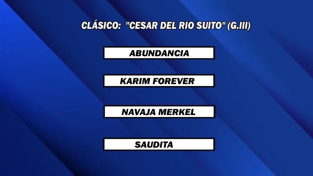 WhatsApp Image 2025-11-10 at 1.52.28 PM