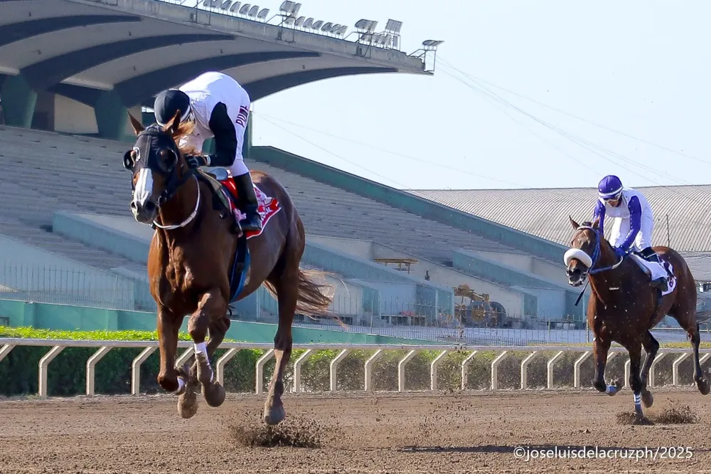 WhatsApp Image 2025-12-29 at 2.42.01 AM