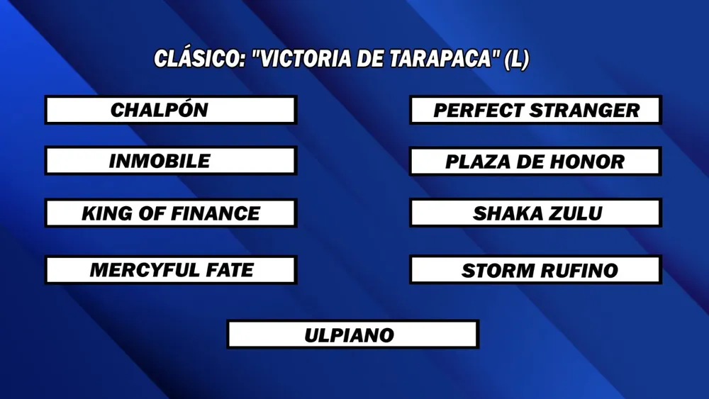 WhatsApp Image 2024-11-25 at 13.54.12 (2)