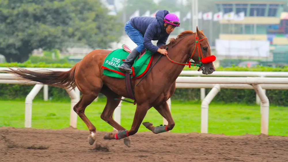 WhatsApp Image 2023-10-25 at 10.11.18 AM