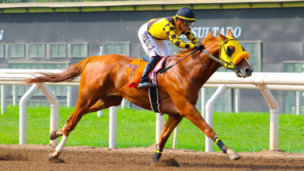 WhatsApp Image 2023-07-24 at 3.22.39 PM