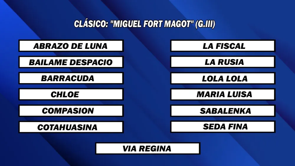 WhatsApp Image 2025-09-08 at 1.53.59 PM (3)