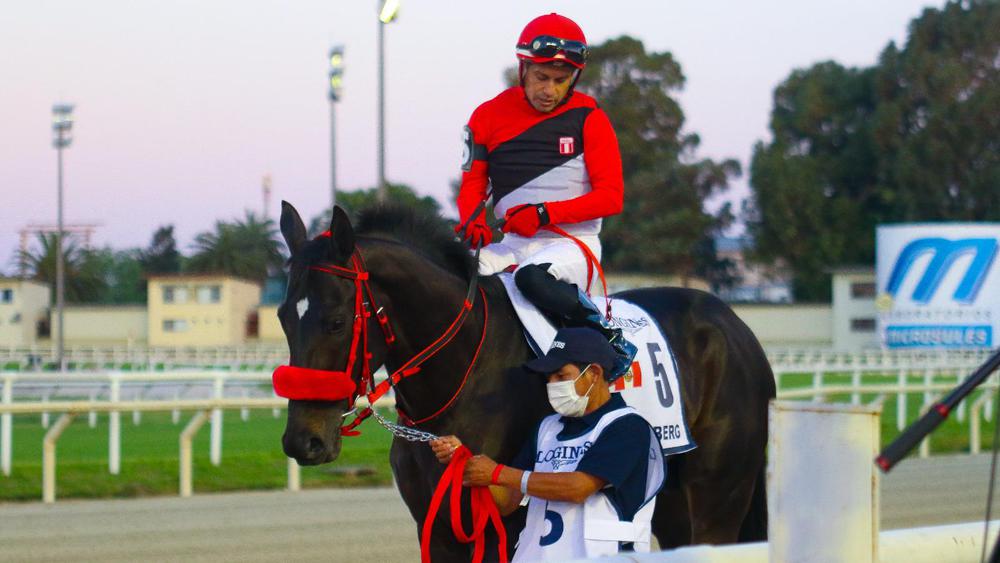 WhatsApp Image 2023-10-10 at 12.06.59 PM