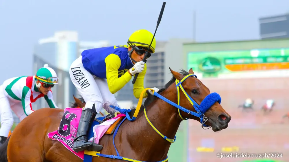 WhatsApp Image 2024-02-24 at 5.36.15 PM