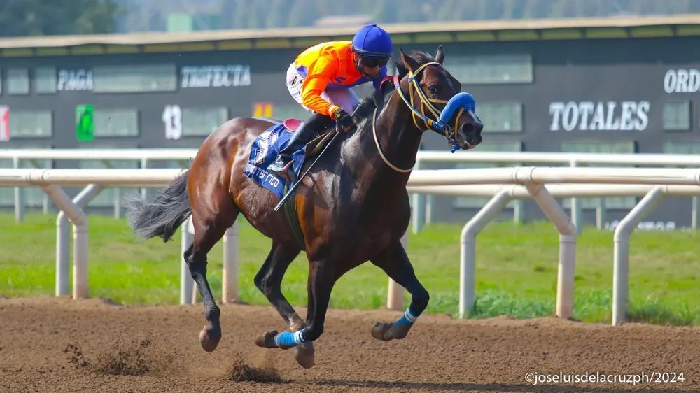 WhatsApp Image 2024-06-03 at 14.48.07