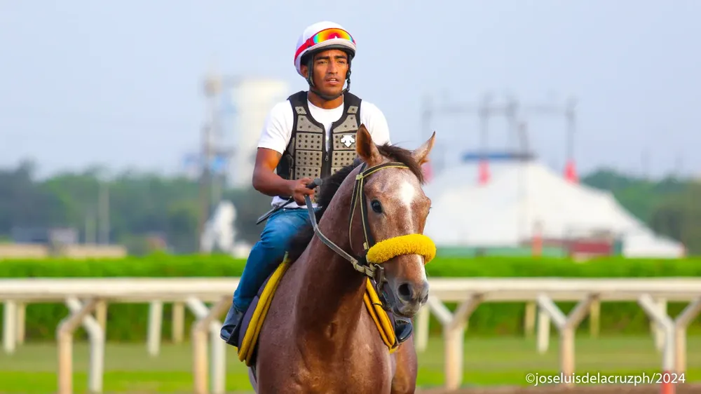 WhatsApp Image 2024-04-04 at 12.01.47 PM