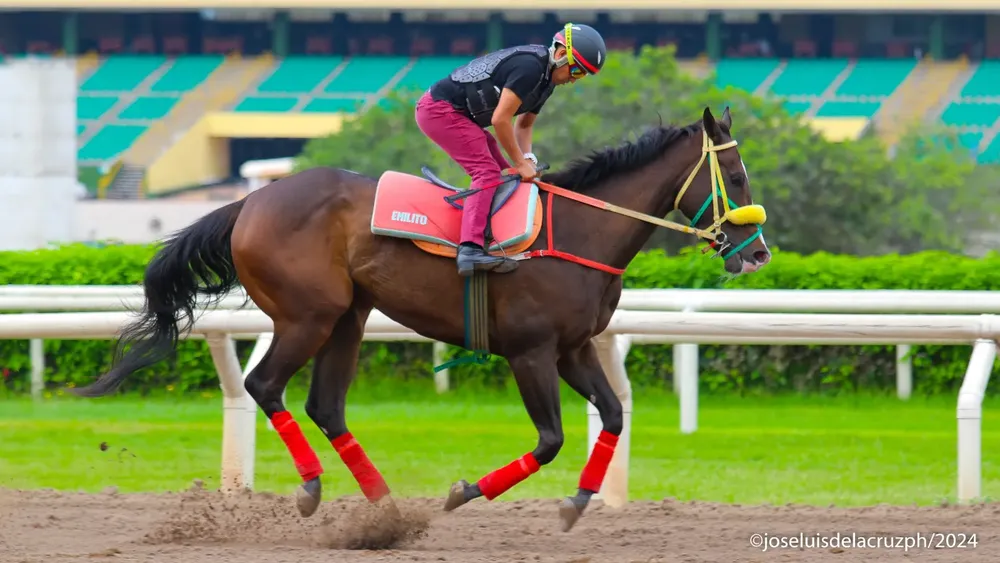 WhatsApp Image 2024-01-07 at 10.16.06 AM