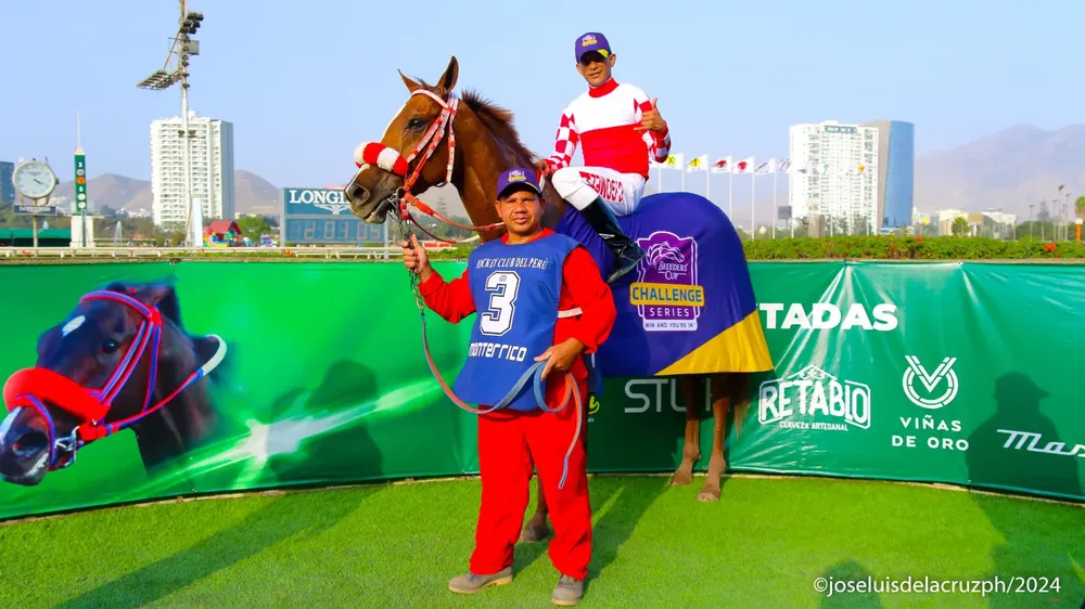 WhatsApp Image 2024-04-25 at 13.16.00