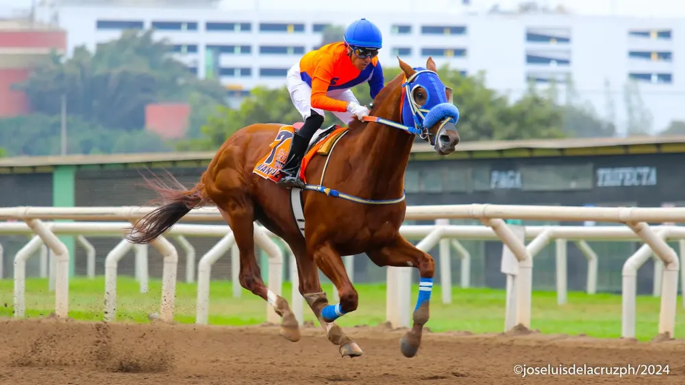 WhatsApp Image 2024-01-17 at 11.46.49 AM