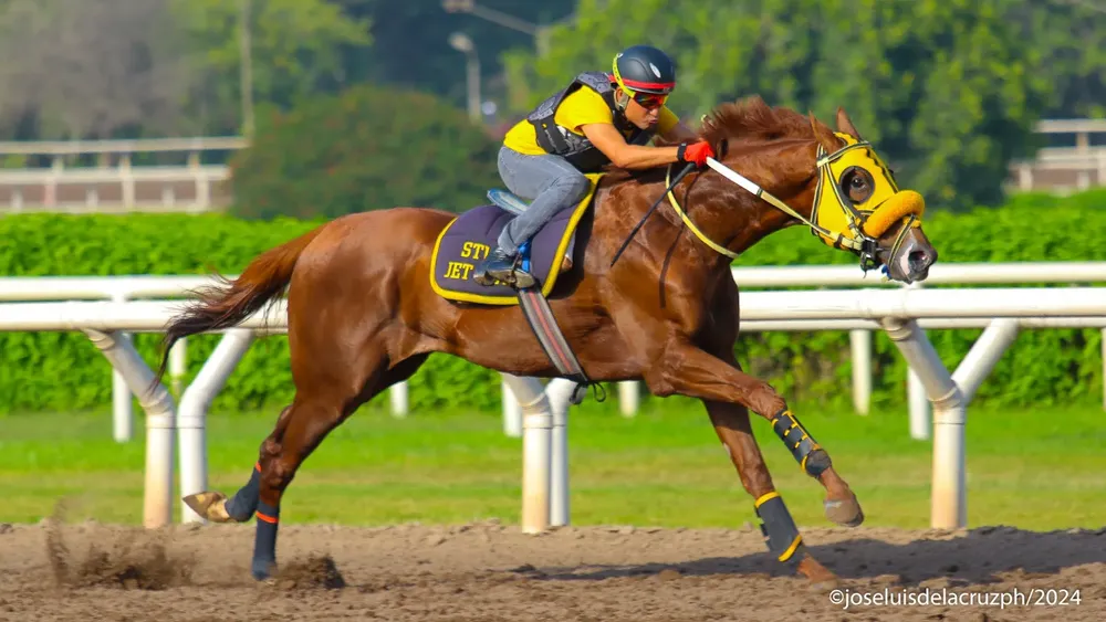 WhatsApp Image 2024-04-09 at 10.35.44