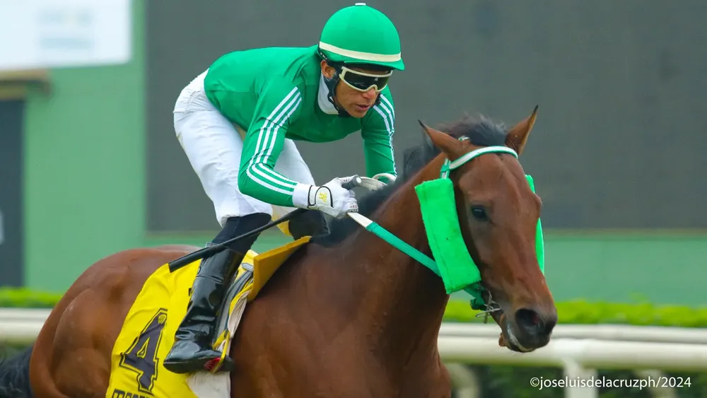 WhatsApp Image 2024-06-29 at 16.54.31