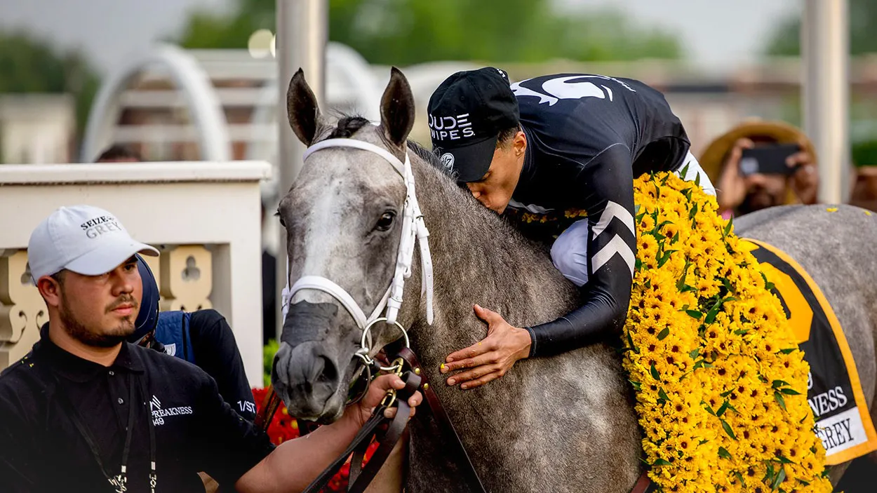 WhatsApp Image 2024-05-23 at 08.13.03