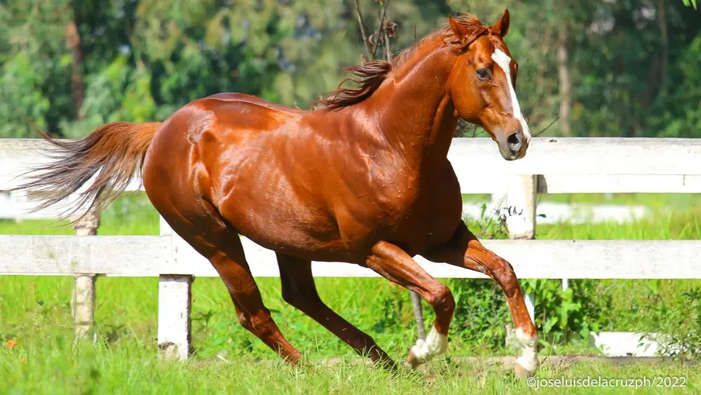 WhatsApp Image 2024-06-10 at 10.35.57