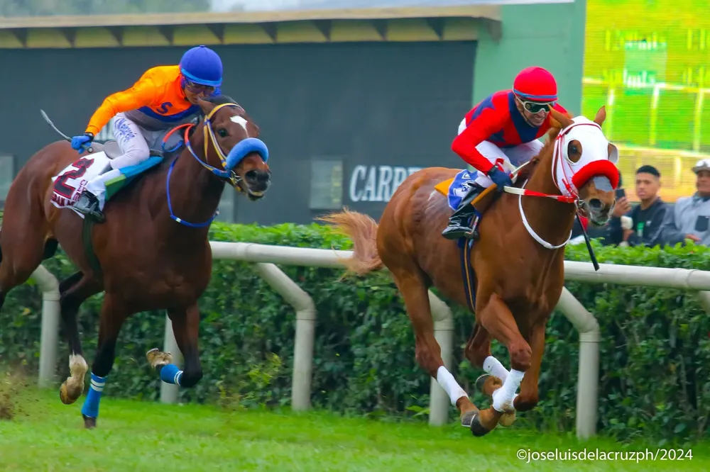 WhatsApp Image 2024-08-11 at 10.31.48