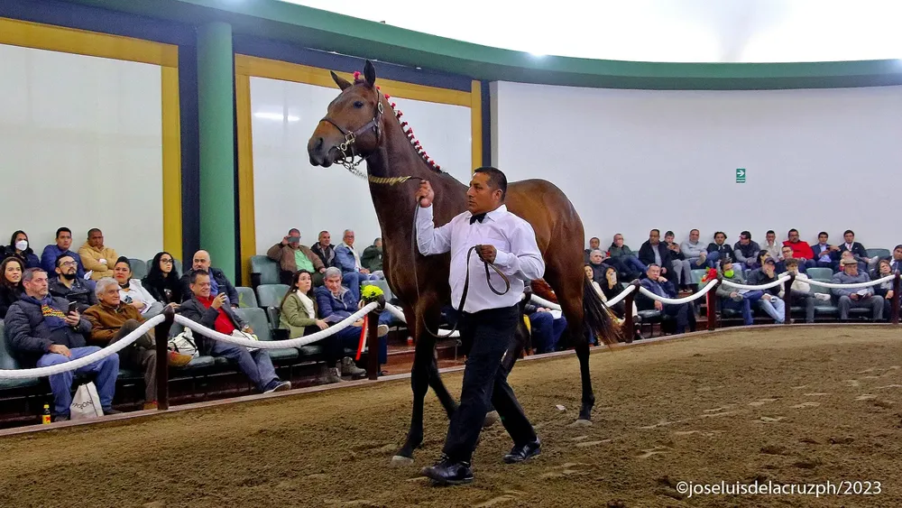 WhatsApp Image 2024-05-23 at 07.43.09