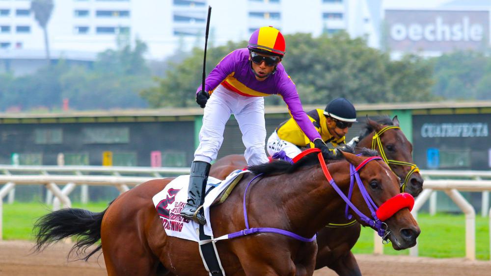 WhatsApp Image 2023-10-14 at 4.28.39 PM