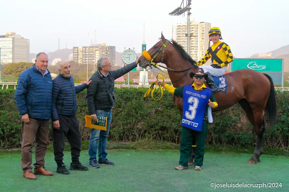 WhatsApp Image 2024-10-10 at 17.06.54