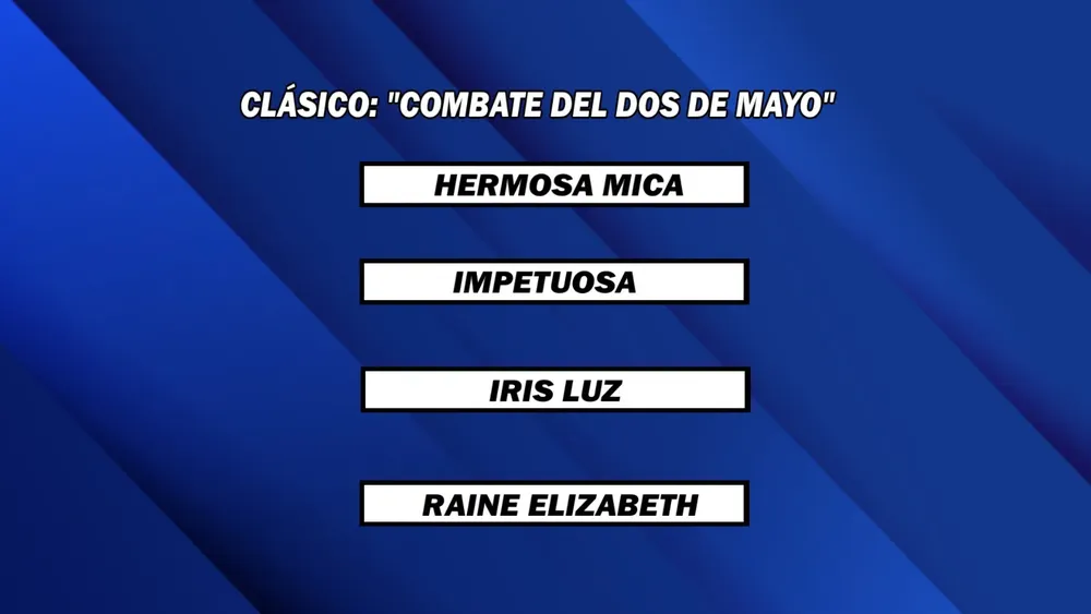 WhatsApp Image 2025-04-28 at 13.57.04