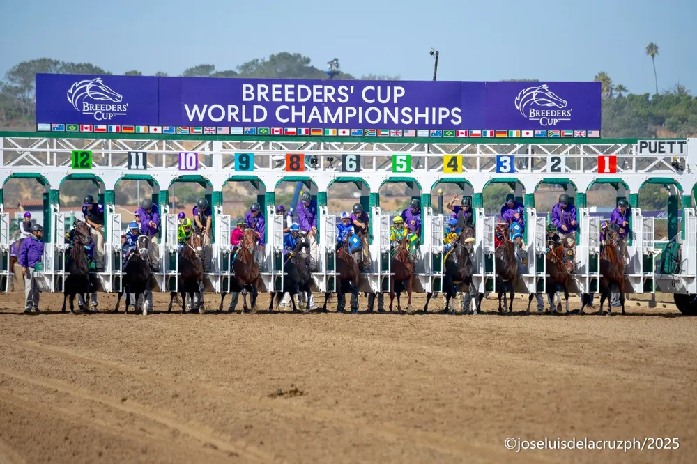 WhatsApp Image 2025-11-01 at 7.14.13 AM