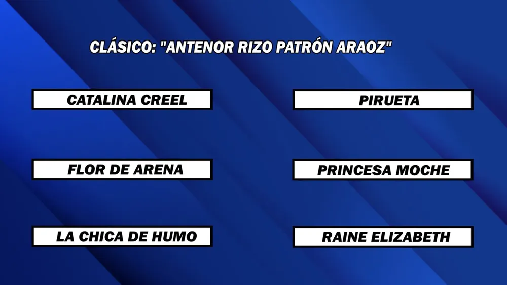 WhatsApp Image 2024-11-18 at 13.55.55