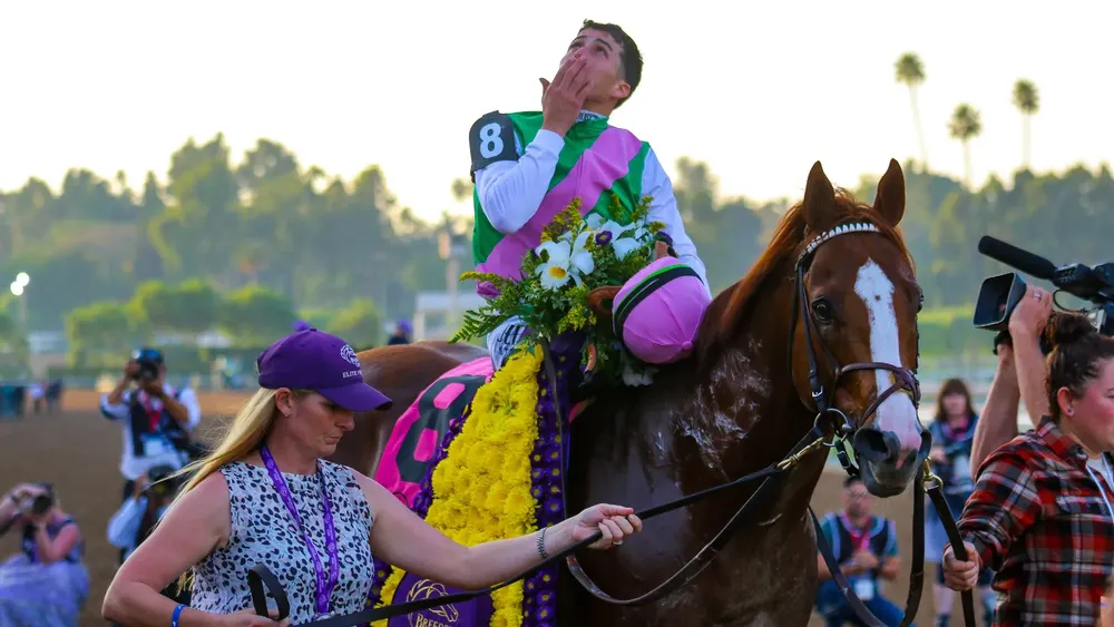 WhatsApp Image 2023-11-04 at 5.27.42 PM