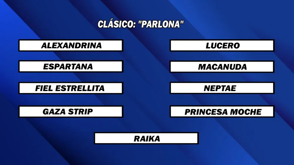 WhatsApp Image 2024-12-30 at 13.52.12