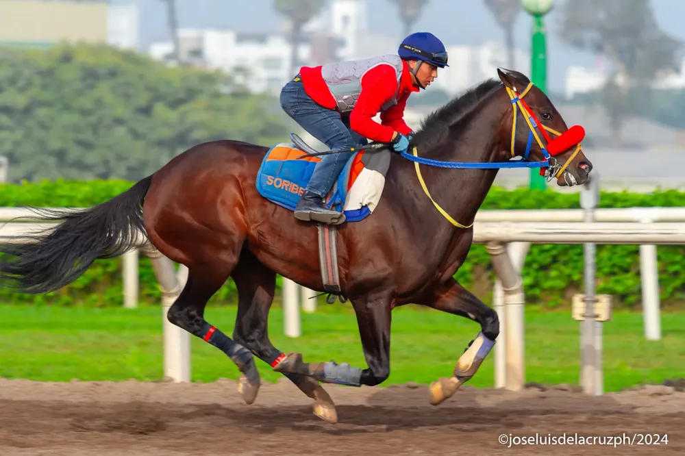 WhatsApp Image 2024-07-26 at 09.55.17