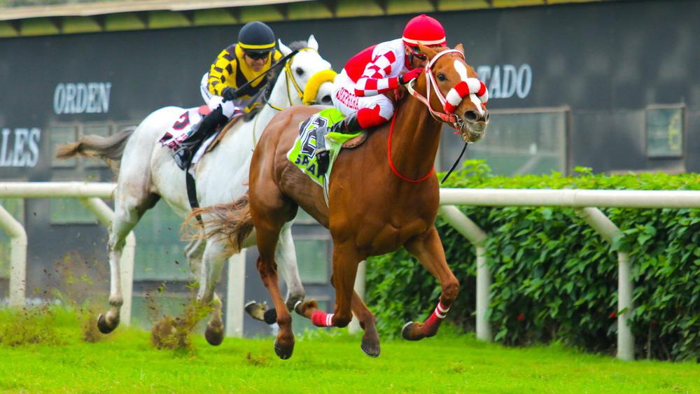 WhatsApp Image 2023-10-07 at 11.16.27 AM