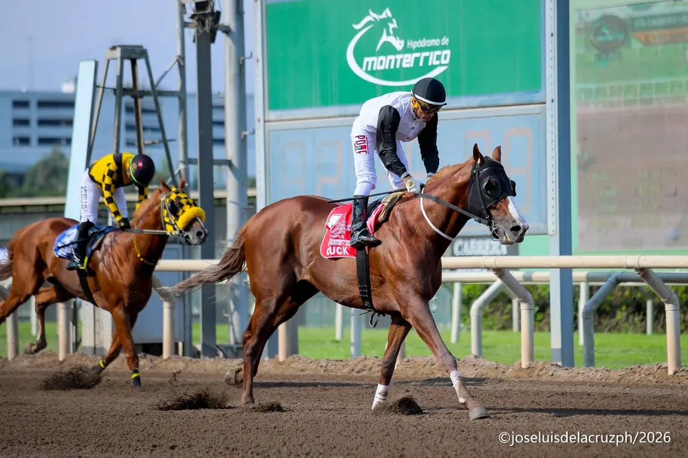 Gluck - Foto: José Luis De La Cruz