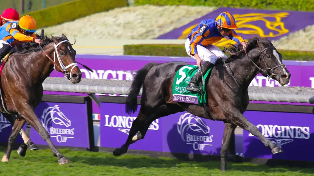 WhatsApp Image 2023-11-04 at 5.25.42 PM