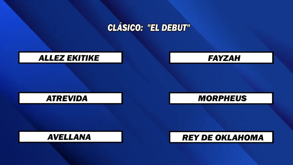 WhatsApp Image 2026-01-05 at 2.05.47 PM