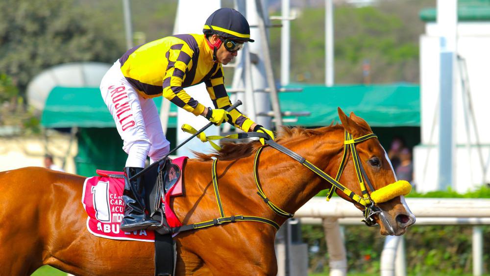 WhatsApp Image 2023-09-16 at 3.31.22 PM