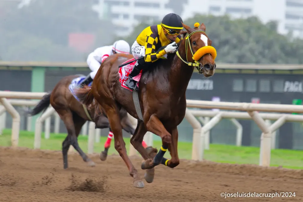 WhatsApp Image 2024-10-06 at 10.15.24 (1)