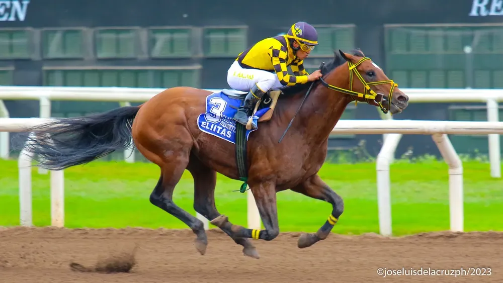 WhatsApp Image 2024-01-01 at 2.58.31 PM