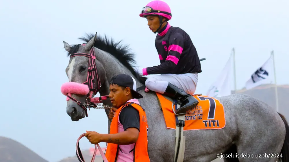 WhatsApp Image 2024-05-15 at 09.53.55 (1)