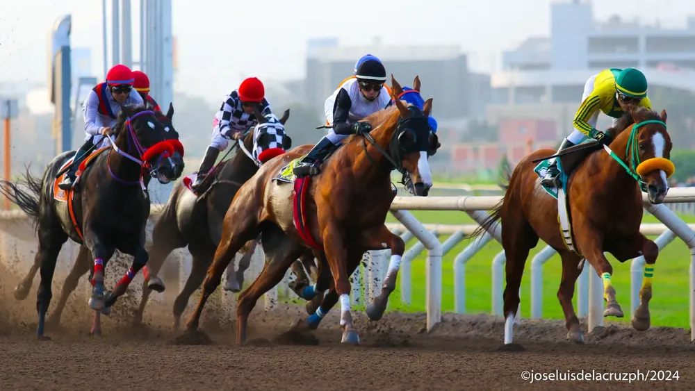 WhatsApp Image 2024-01-09 at 5.55.21 PM