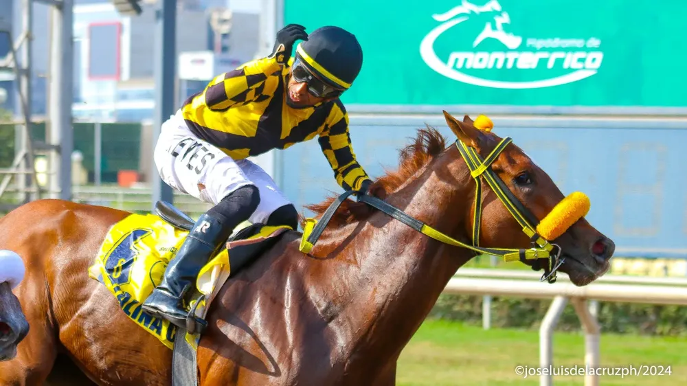 WhatsApp Image 2024-06-09 at 15.19.18