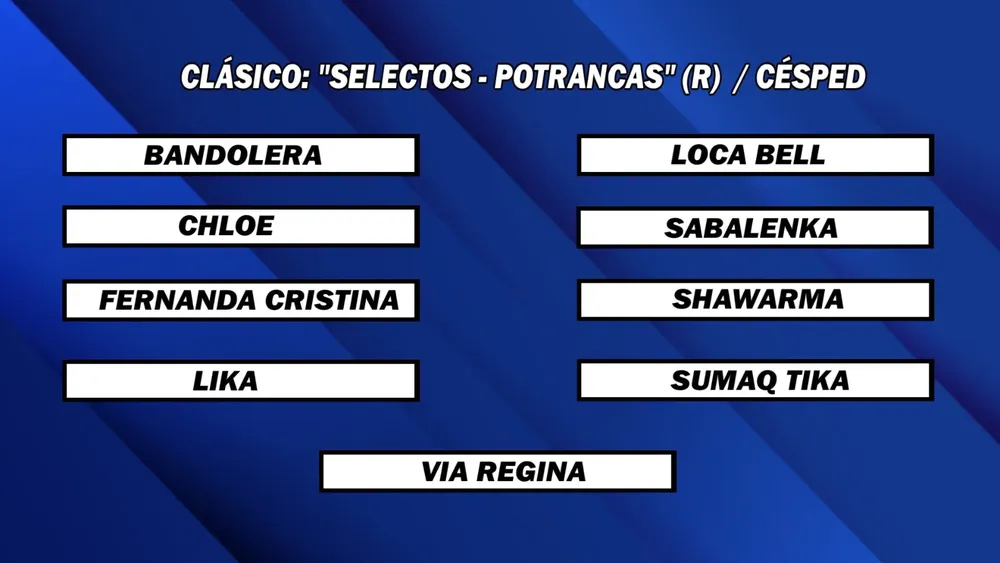 WhatsApp Image 2025-06-02 at 16.38.34