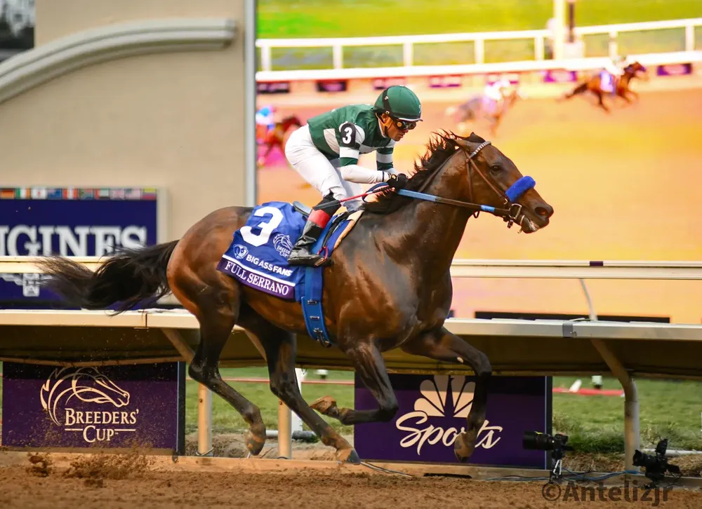 WhatsApp Image 2024-11-02 at 19.55.04