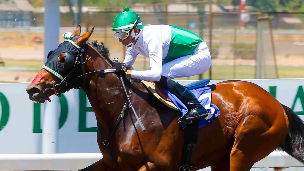 WhatsApp Image 2024-03-18 at 5.28.44 PM