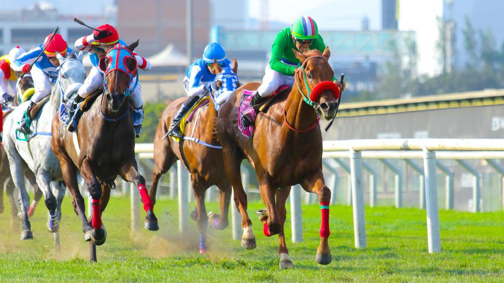 WhatsApp Image 2023-09-17 at 4.35.25 PM