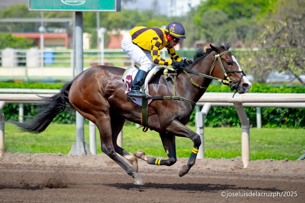 WhatsApp Image 2025-11-24 at 2.52.38 PM