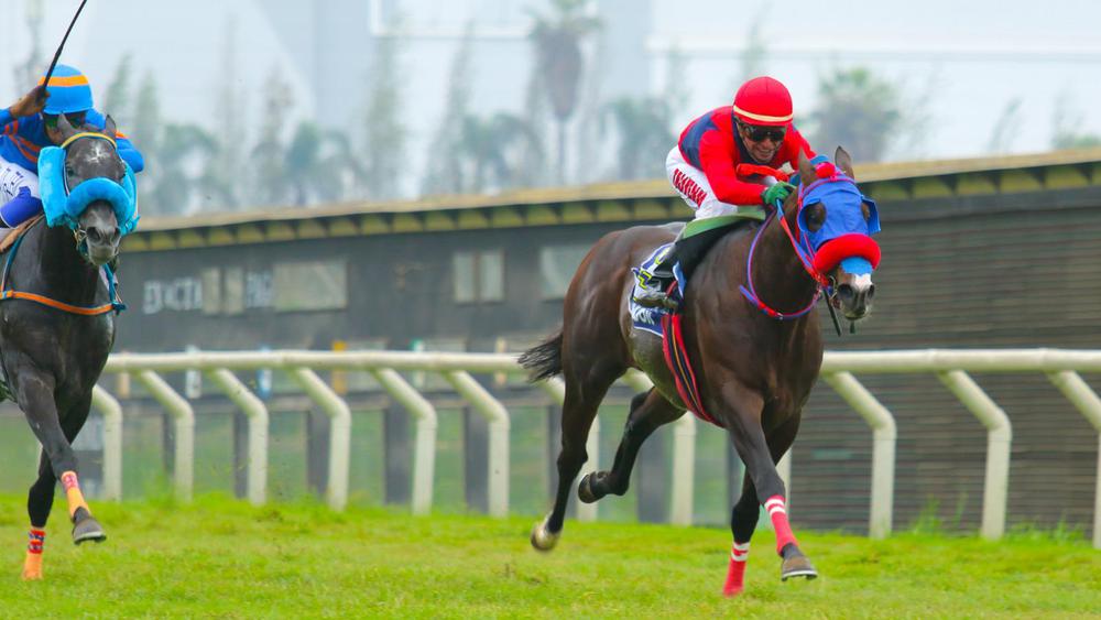 WhatsApp Image 2023-10-15 at 5.03.23 PM