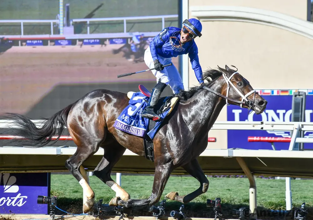 WhatsApp Image 2024-11-01 at 17.48.44