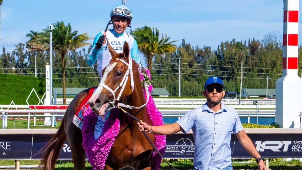 WhatsApp Image 2024-04-29 at 09.00.12