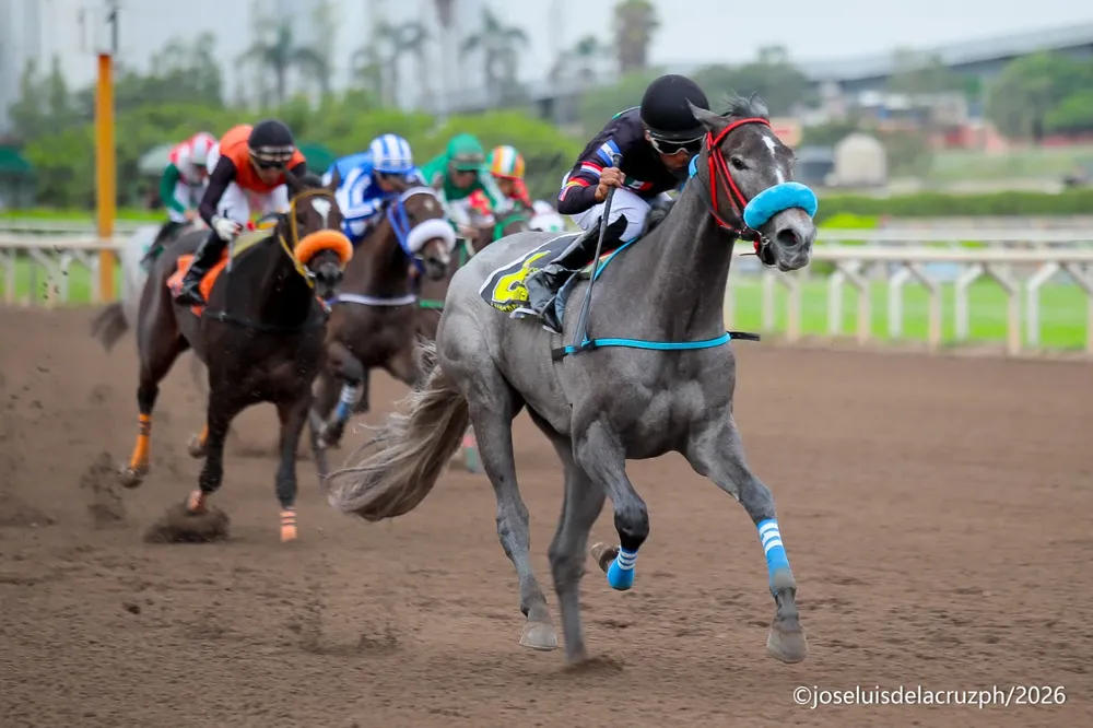 Lunareja - Foto: José Luis De La Cruz