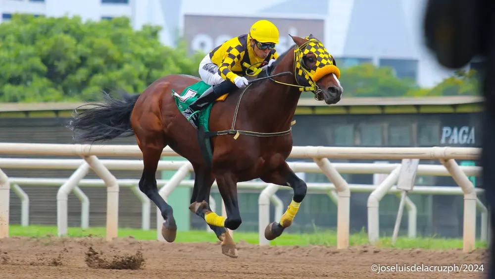 WhatsApp Image 2024-02-03 at 2.50.49 PM